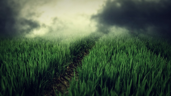 A path through a grassy field under dark clouds