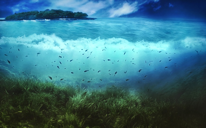 Underwater scene with island, fish, and seaweed