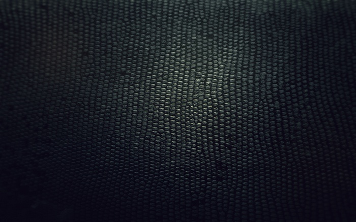 Dark textured surface with scales pattern
