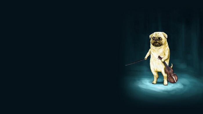 Pug playing a violin