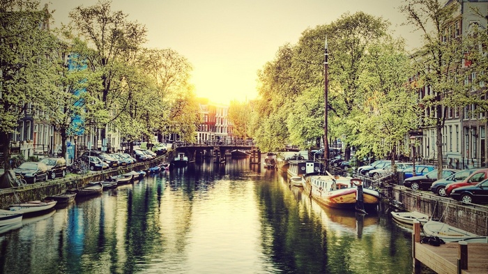 Amsterdam canal with boats and trees at sunset