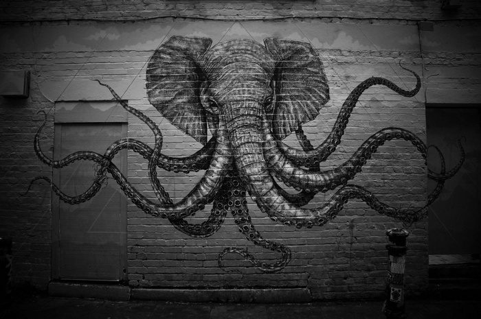 Monochrome graffiti of an elephant with octopus tentacles on a brick wall