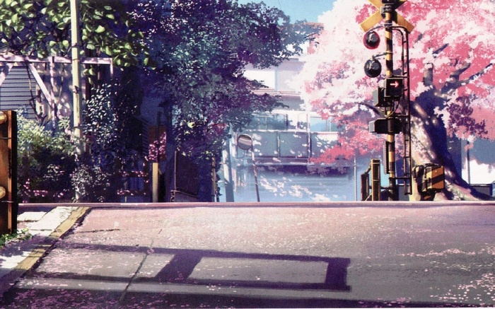 5 Centimeters Per Second Train Crossing