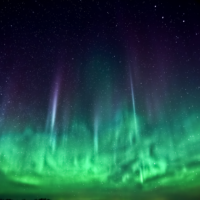 Aurora Borealis in a Starry Night Sky