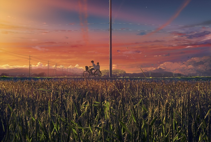 Anime couple riding a bicycle through a wheat field at sunset