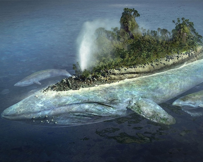 Whale island with trees and water