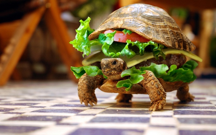 Turtle Burger with Lettuce and Tomato