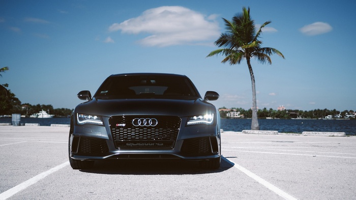 Audi RS7 parked by the water with a palm tree