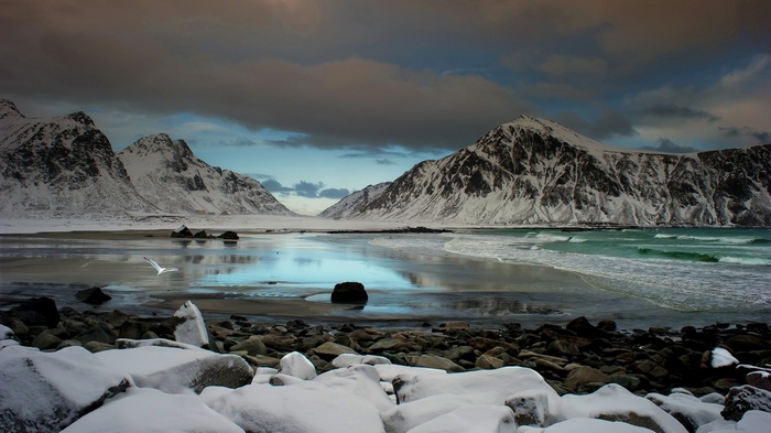 Snow-covered mountains and a beach with a bird flying