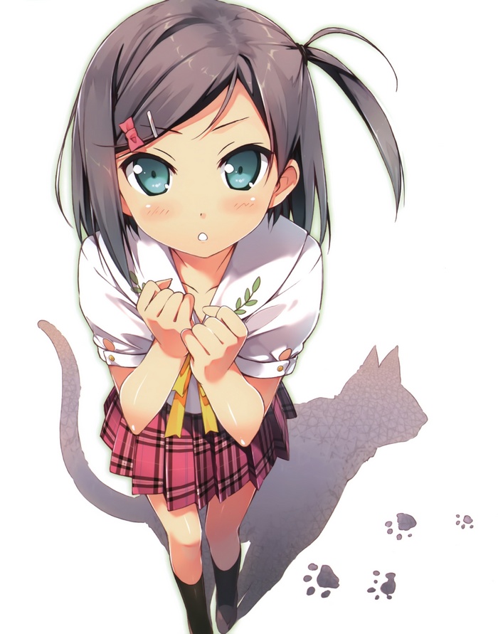 Tsutsukakushi Tsukiko from Hentai Ouji to Warawanai Neko