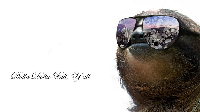 Sloth Wearing Sunglasses with Money Reflection