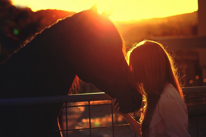 Girl and horse at sunset