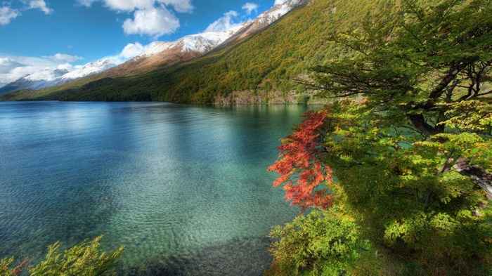 Lake and snow-capped mountains with autumn trees