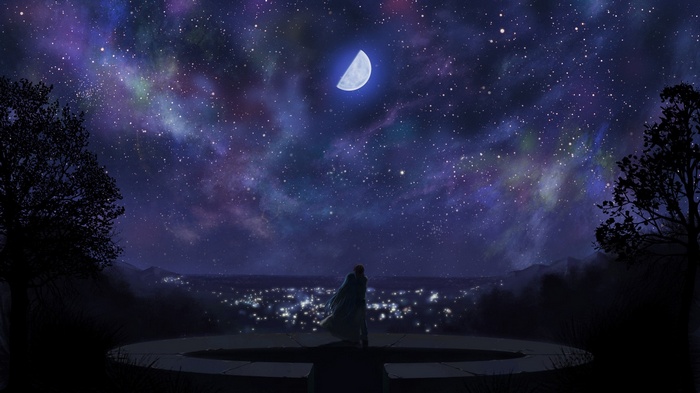 Anime person looking at a starry sky over a city