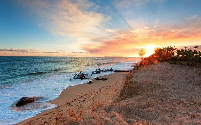 Sunset over a sandy beach with driftwood and ocean waves