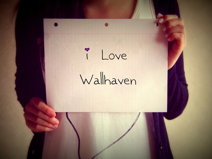 Person holding a sign that says I Love Wallhaven