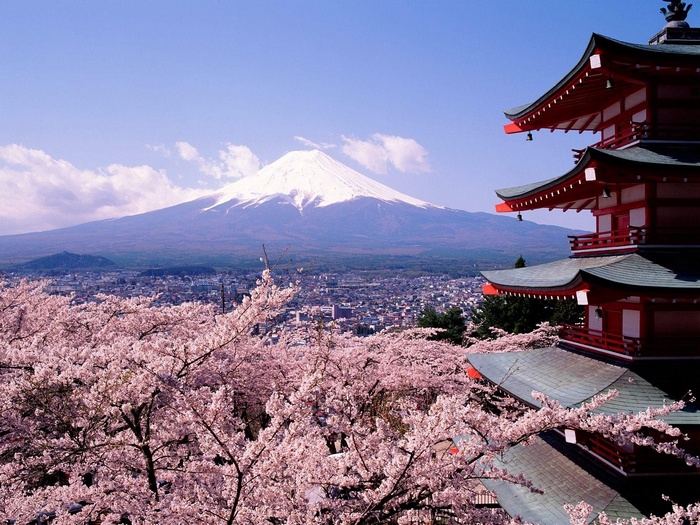 Mount Fuji and Pagoda with Cherry Blossoms in Japan