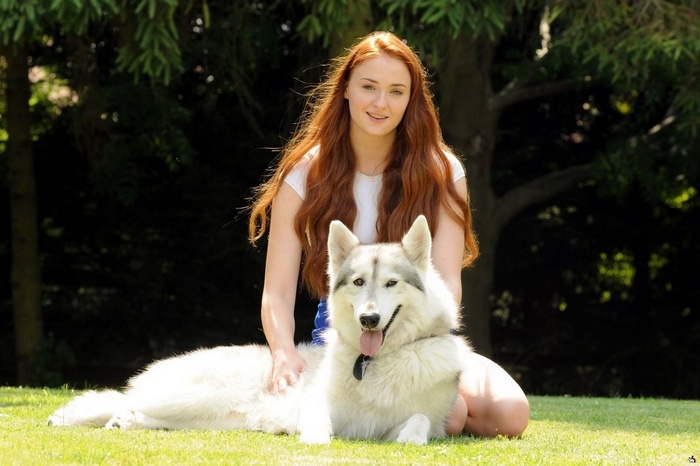 Sophie Turner with a husky dog outdoors