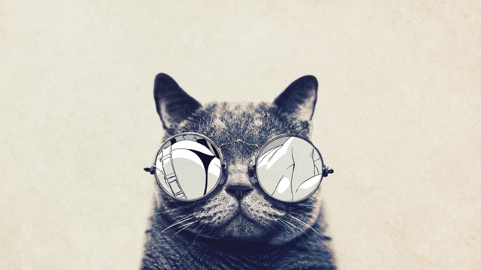 Cat wearing round glasses with cartoon reflection