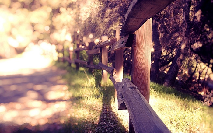 Wooden fence along a path with sunlight