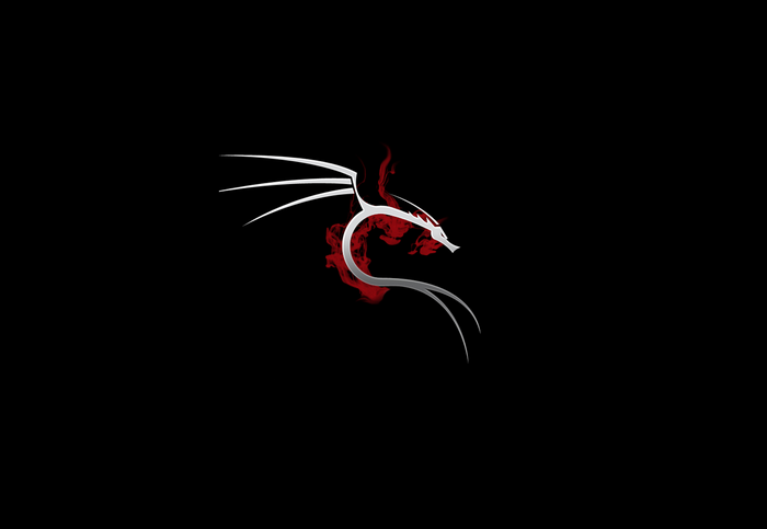 Kali Linux dragon logo with red flames