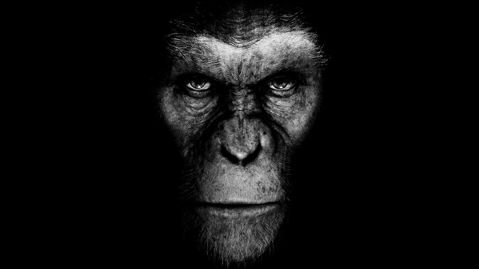 Caesar from Planet of the Apes