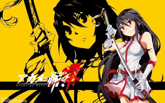 Akame ga Kill! Zero Anime Art