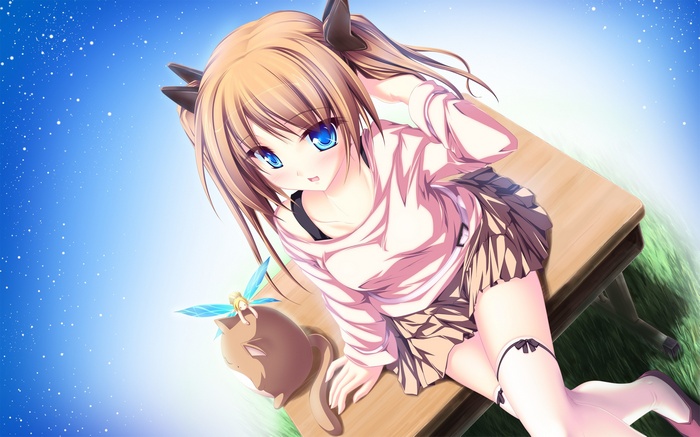Anime girl with cat ears and a fairy on a desk