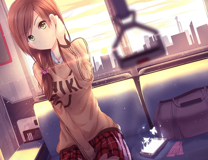Anime girl on a train at sunset