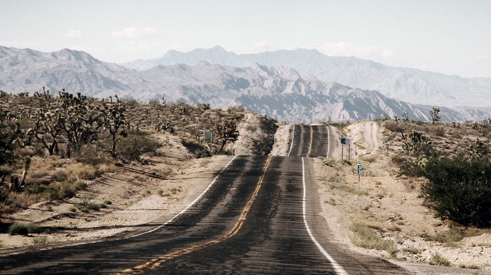 Desert road with Joshua trees and mountains