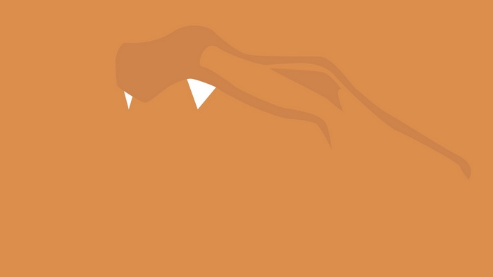 Minimalist Charizard Pokémon