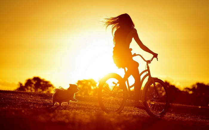 Silhouette of a woman riding a bicycle with a dog at sunset