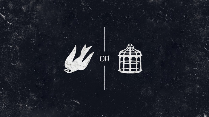 BioShock Infinite Bird or Cage Minimalist Art