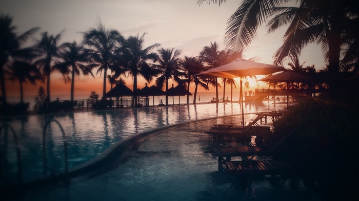 Palm trees and swimming pool at sunset