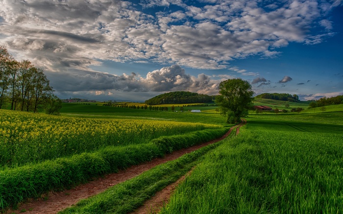 Pathway through a green field with clouds