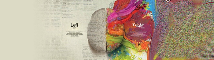 Left and Right Brain with Paint Splatter
