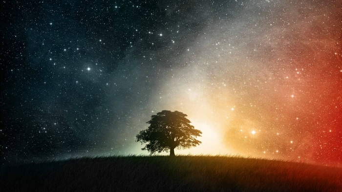 Lone tree under a starry sky with colorful nebula