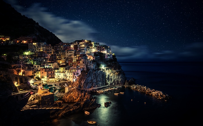 Manarola, Italy at night under a starry sky