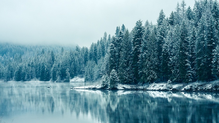 Snow-covered trees reflected in a calm lake during winter