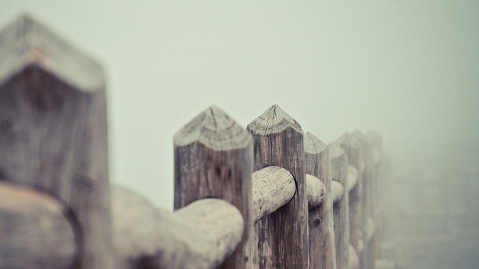 Wooden fence posts in the mist