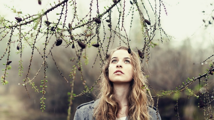 Young woman looking up at pine cones on branches