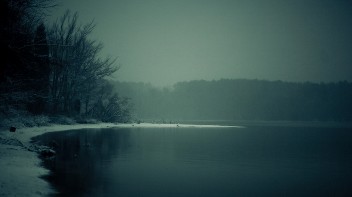 Misty lake with snow-covered trees on the shore