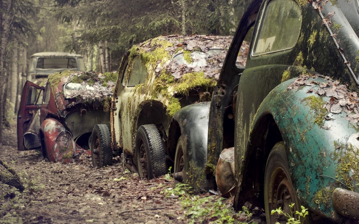 vehicle old car abandoned moss wreck rust car