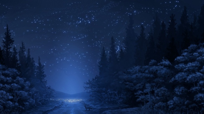 Anime night forest with stars and a fox