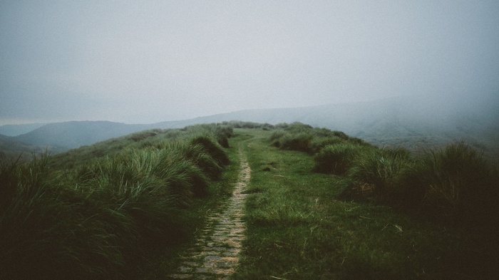 A misty path through green grass on a hill