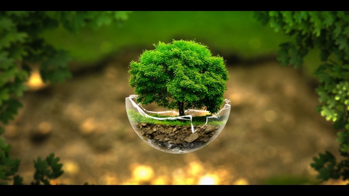 Surreal broken glass with a tree and earth