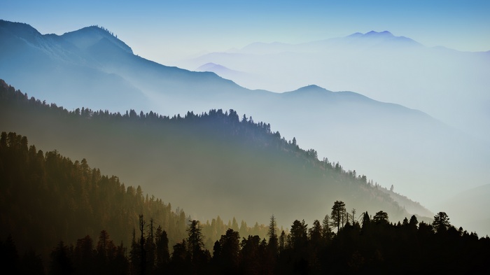 Misty mountains and forest at sunrise