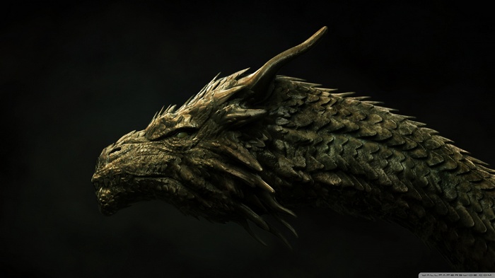 Close-up of a fantasy dragon's head