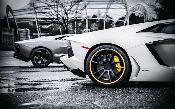 Two Lamborghinis parked on a wet road