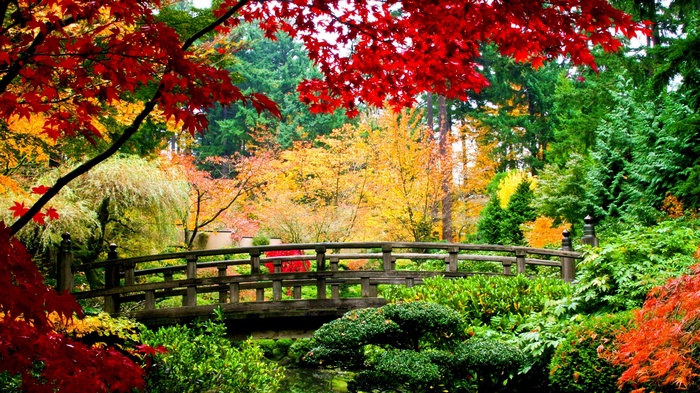 Wooden bridge in a park with fall foliage